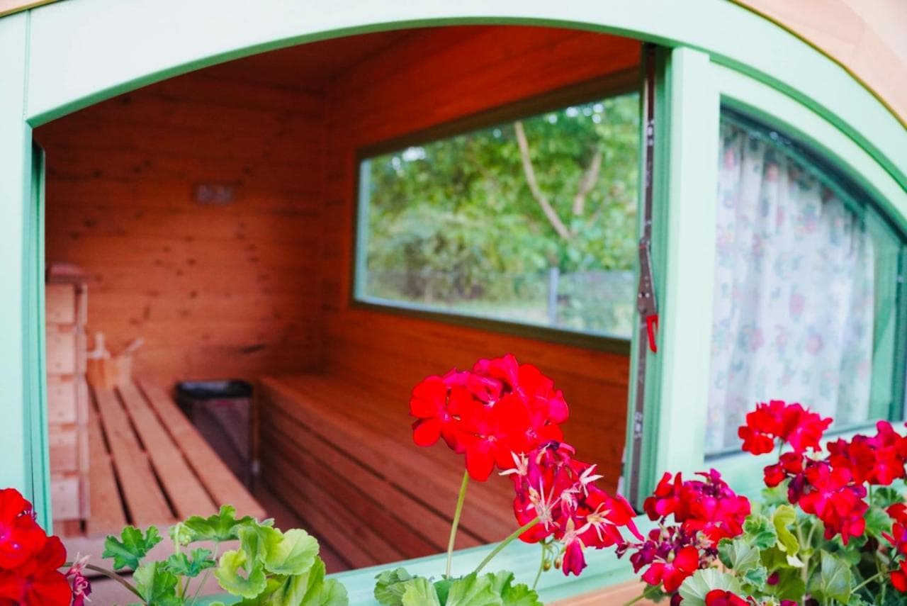 Sauna, în grădină